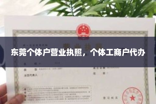 东莞个体户营业执照，个体工商户代办