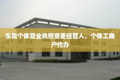 东莞个体营业执照变更经营人，个体工商户代办