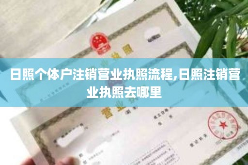 日照个体户注销营业执照流程,日照注销营业执照去哪里