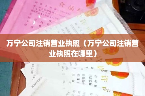 万宁公司注销营业执照（万宁公司注销营业执照在哪里）