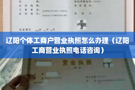 辽阳个体工商户营业执照怎么办理（辽阳工商营业执照电话咨询）