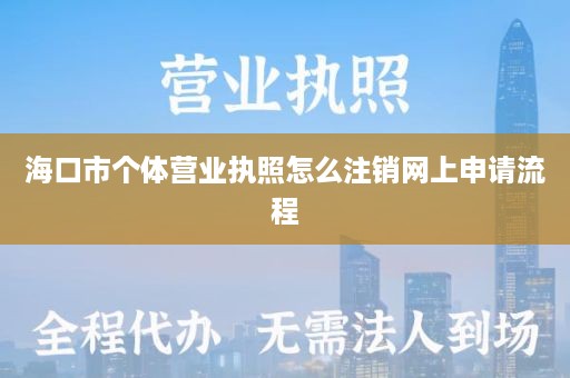 海口市个体营业执照怎么注销网上申请流程