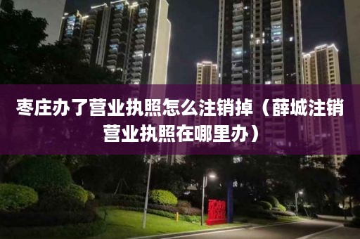 枣庄办了营业执照怎么注销掉（薛城注销营业执照在哪里办）