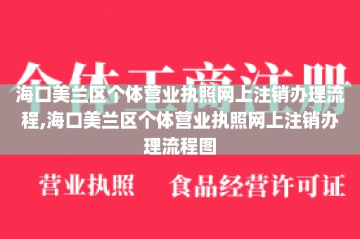 海口美兰区个体营业执照网上注销办理流程,海口美兰区个体营业执照网上注销办理流程图