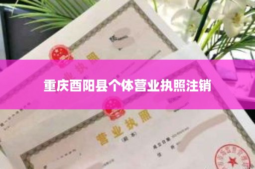 重庆酉阳县个体营业执照注销