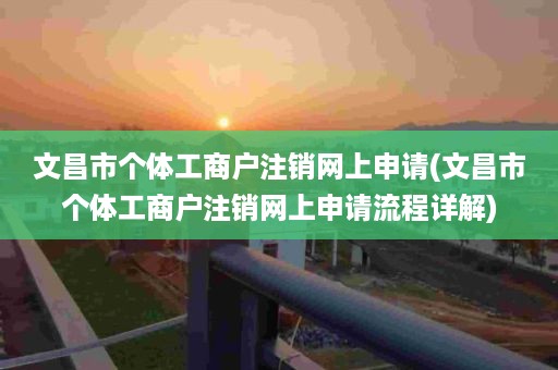 文昌市个体工商户注销网上申请(文昌市个体工商户注销网上申请流程详解)