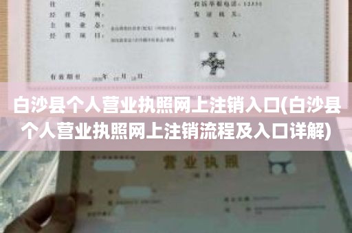 白沙县个人营业执照网上注销入口(白沙县个人营业执照网上注销流程及入口详解)