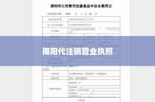揭阳代注销营业执照