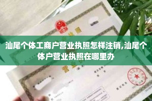 汕尾个体工商户营业执照怎样注销,汕尾个体户营业执照在哪里办