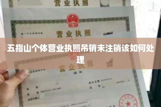 五指山个体营业执照吊销未注销该如何处理