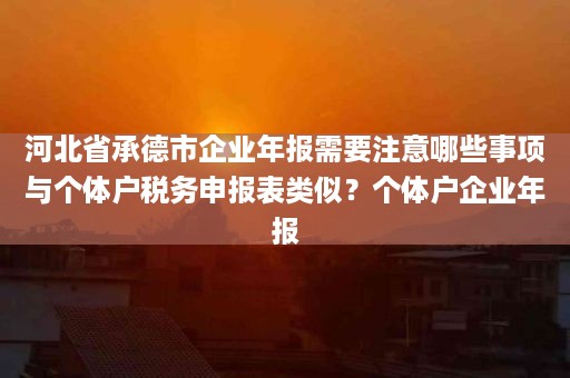 河北省承德市企业年报需要注意哪些事项与个体户税务申报表类似？个体户企业年报