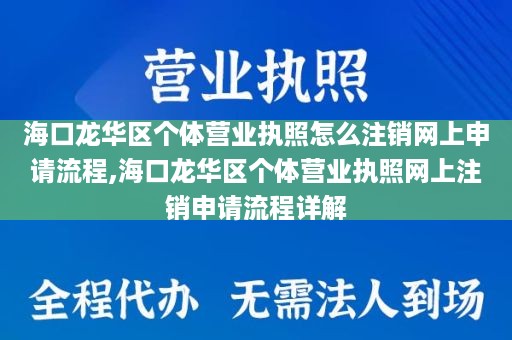 海口龙华区个体营业执照怎么注销网上申请流程,海口龙华区个体营业执照网上注销申请流程详解