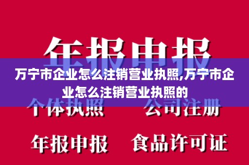 万宁市企业怎么注销营业执照,万宁市企业怎么注销营业执照的