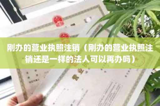 刚办的营业执照注销（刚办的营业执照注销还是一样的法人可以再办吗）
