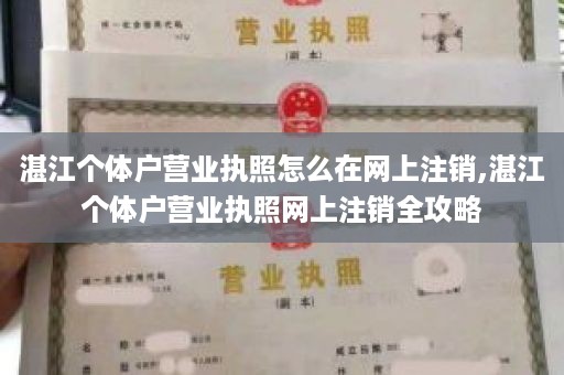 湛江个体户营业执照怎么在网上注销,湛江个体户营业执照网上注销全攻略