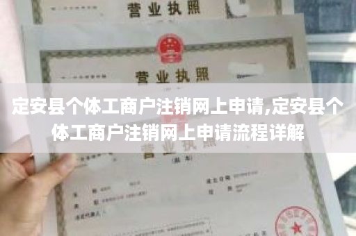 定安县个体工商户注销网上申请,定安县个体工商户注销网上申请流程详解