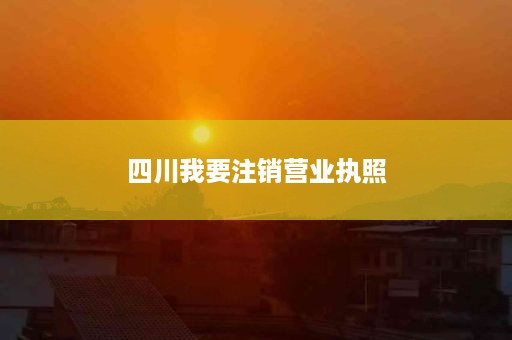 四川我要注销营业执照