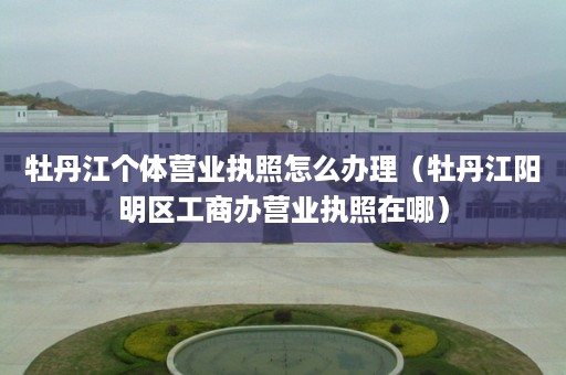 牡丹江个体营业执照怎么办理（牡丹江阳明区工商办营业执照在哪）