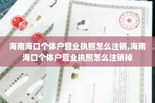 海南海口个体户营业执照怎么注销,海南海口个体户营业执照怎么注销掉