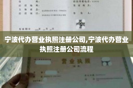 宁波代办营业执照注册公司,宁波代办营业执照注册公司流程