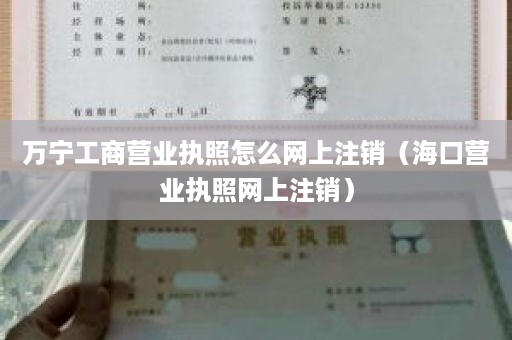 万宁工商营业执照怎么网上注销（海口营业执照网上注销）