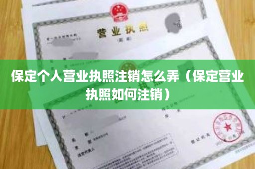 保定个人营业执照注销怎么弄（保定营业执照如何注销）