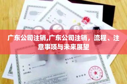 广东公司注销,广东公司注销，流程、注意事项与未来展望