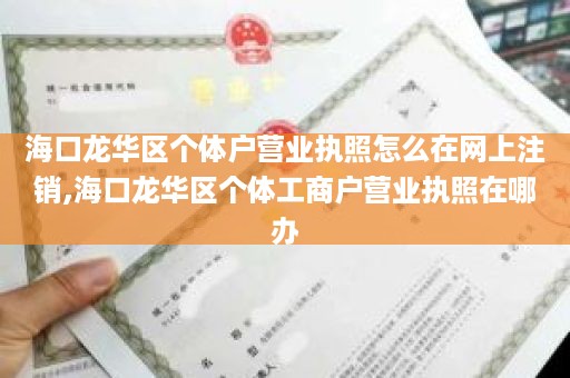 海口龙华区个体户营业执照怎么在网上注销,海口龙华区个体工商户营业执照在哪办