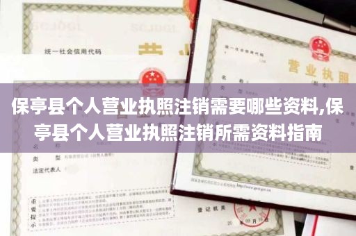 保亭县个人营业执照注销需要哪些资料,保亭县个人营业执照注销所需资料指南