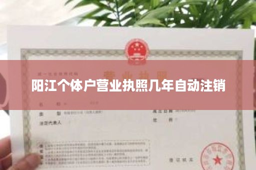 阳江个体户营业执照几年自动注销