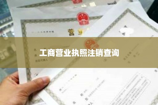 工商营业执照注销查询