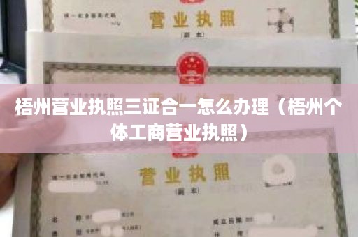 梧州营业执照三证合一怎么办理（梧州个体工商营业执照）
