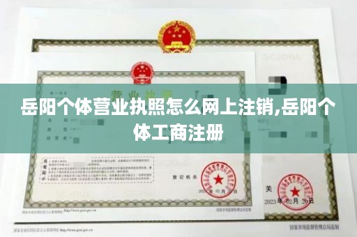 岳阳个体营业执照怎么网上注销,岳阳个体工商注册