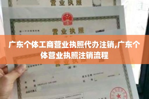 广东个体工商营业执照代办注销,广东个体营业执照注销流程