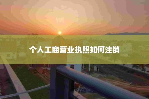 个人工商营业执照如何注销