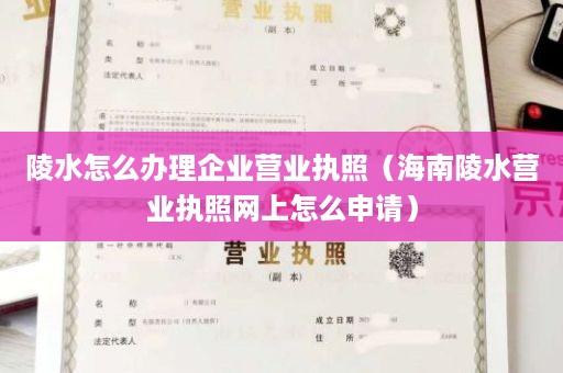 陵水怎么办理企业营业执照（海南陵水营业执照网上怎么申请）