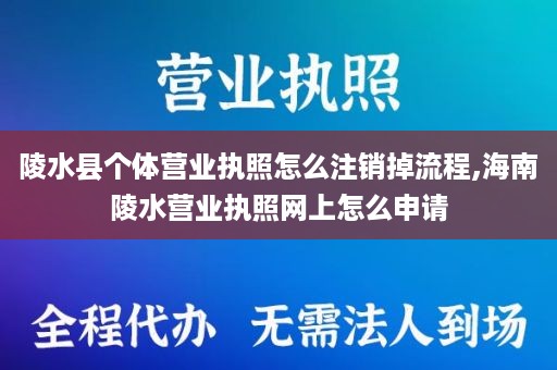 陵水县个体营业执照怎么注销掉流程,海南陵水营业执照网上怎么申请