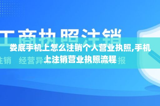 娄底手机上怎么注销个人营业执照,手机上注销营业执照流程