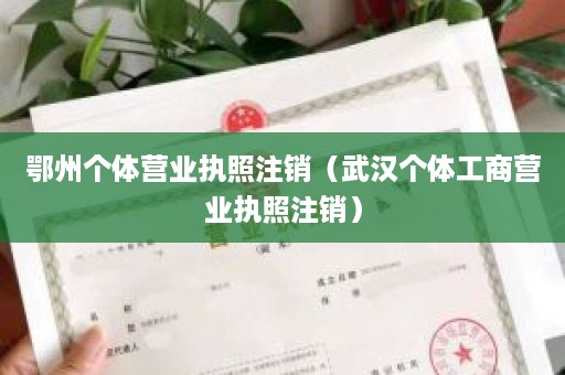 鄂州个体营业执照注销（武汉个体工商营业执照注销）
