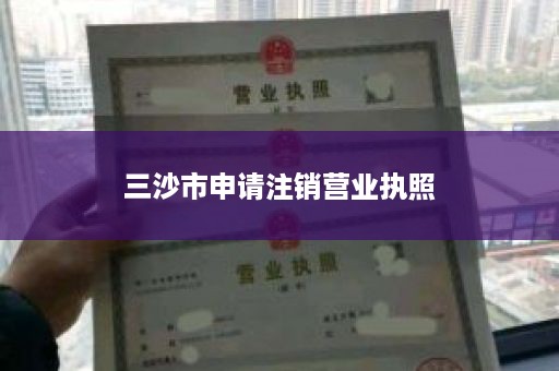 三沙市申请注销营业执照