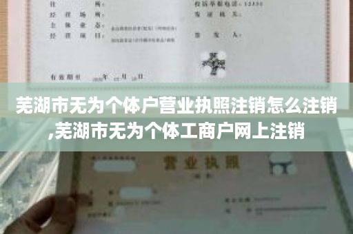 芜湖市无为个体户营业执照注销怎么注销,芜湖市无为个体工商户网上注销