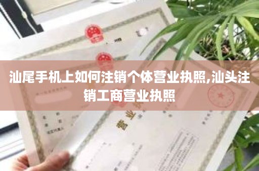 汕尾手机上如何注销个体营业执照,汕头注销工商营业执照