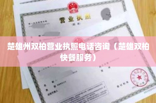 楚雄州双柏营业执照电话咨询（楚雄双柏快餐服务）