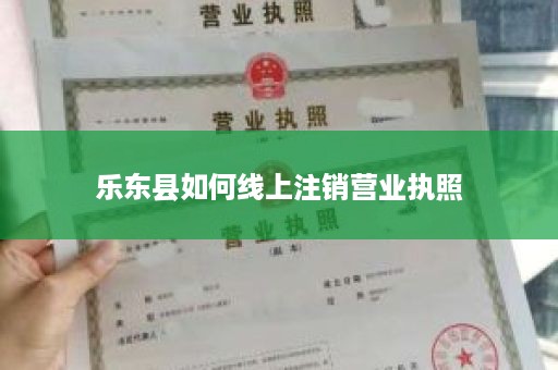 乐东县如何线上注销营业执照
