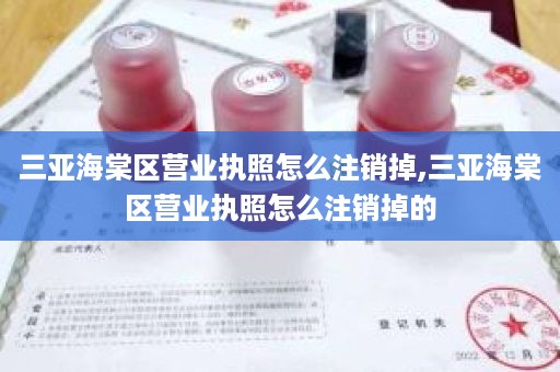 三亚海棠区营业执照怎么注销掉,三亚海棠区营业执照怎么注销掉的