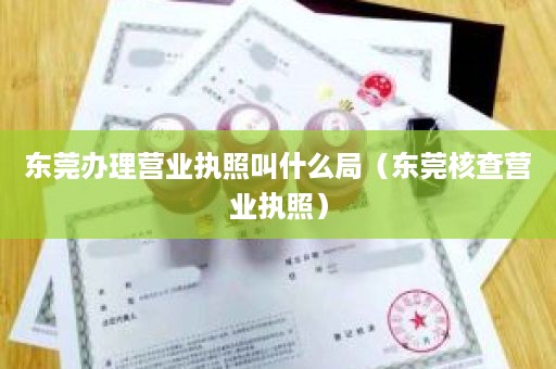 东莞办理营业执照叫什么局（东莞核查营业执照）