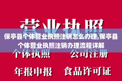 保亭县个体营业执照注销怎么办理,保亭县个体营业执照注销办理流程详解