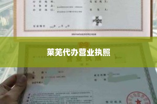 莱芜代办营业执照