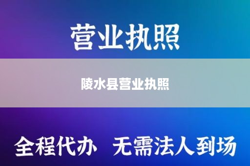 陵水县营业执照