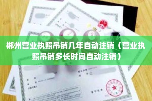 郴州营业执照吊销几年自动注销（营业执照吊销多长时间自动注销）